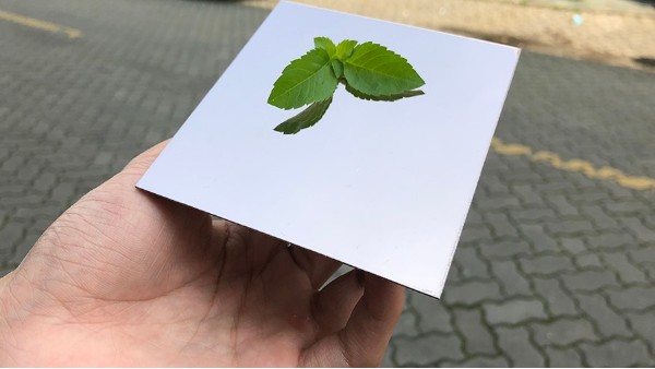 為什么彩色不銹鋼裝飾板會大受歡迎？